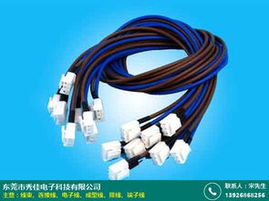 漳州電子線供應(yīng)商與制造公司的核心優(yōu)勢(shì)與市場(chǎng)定位